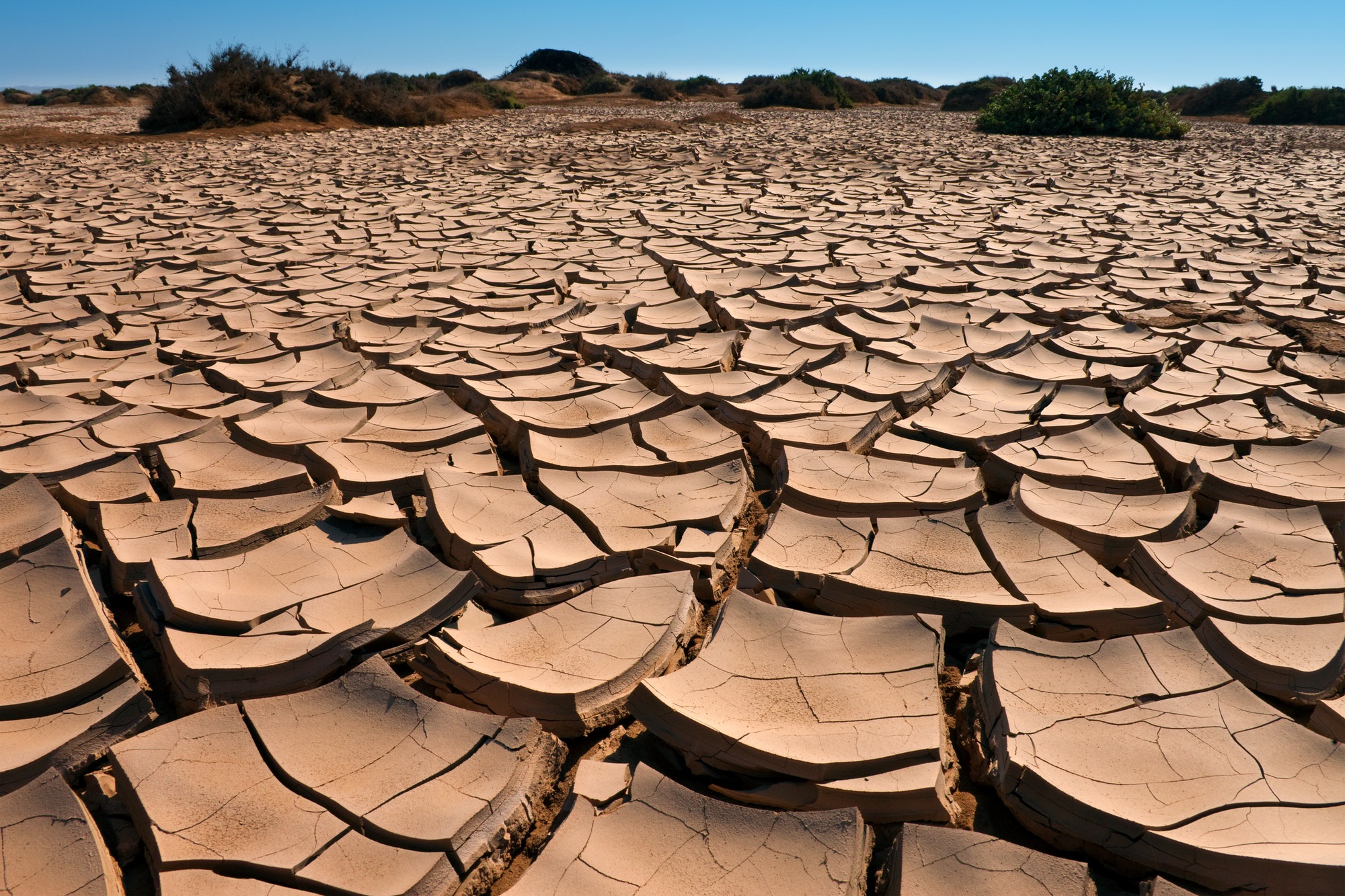 Drought - Environmental Disaster